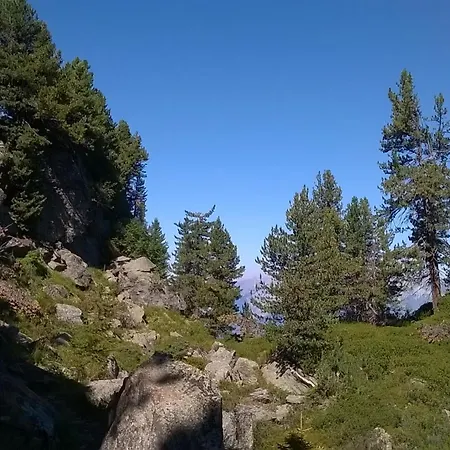 公寓 Hannes Steirer 施图拜河谷新施蒂夫特