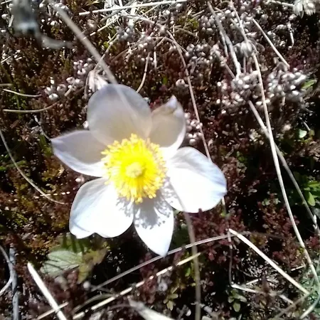 Apartamento Hannes Steirer