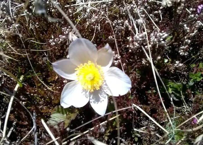 아파트 Hannes Steirer