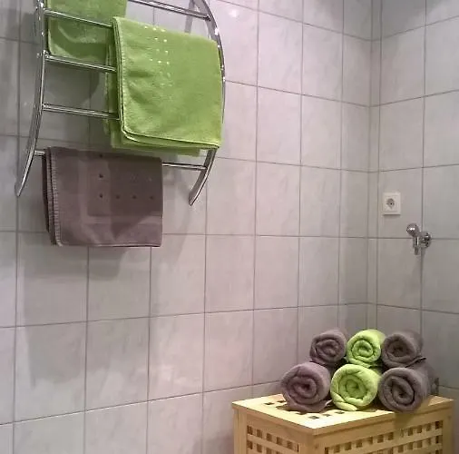 Hannes Steirer 노이스티프트임스튀바이탈